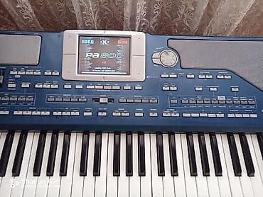 İdman və istirahət: Sintezator, Korg — 3