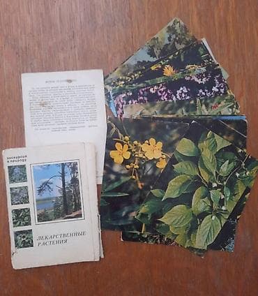 Açıqcalar: Foto albomlar hər biri 20 manat — 5