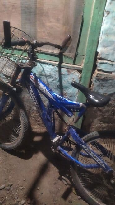 холодильник для автомобиля: Samsung Galaxy S22, цвет - Бежевый, Беспроводная зарядка — 30