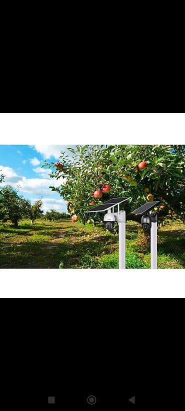 divar kagizlari dekor: 🌳 Meyvə bağları üçün peşəkar işıqlandırma və təhlükəsizlik sistemləri! — 2