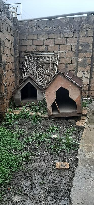 İki ədəd it evi - Material: taxta konstruksiya, dam örtüklü - Dizayn