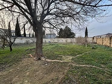 torpaqlar: 10 sot, Tikinti, Mülkiyyətçi, Kupça (Çıxarış) — 7