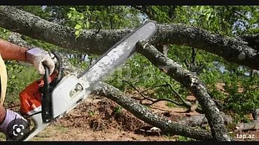 demir qapi satiram: Ağac kesmek budamaq işləri görülür.🪚 Kotukleri səliqəli dogramaq qol — 4