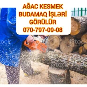 Ağac kesmek budamaq işləri görülür.🪚 Kotukleri səliqəli dogramaq qol