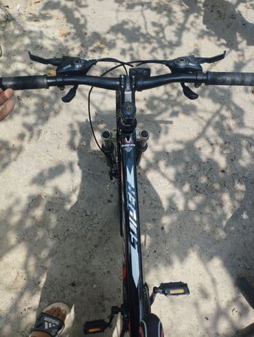 Информатика: Горный велосипед Vista, 29" — 4