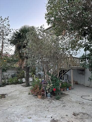 202 kv. m, 7 otaqlı, Qaz