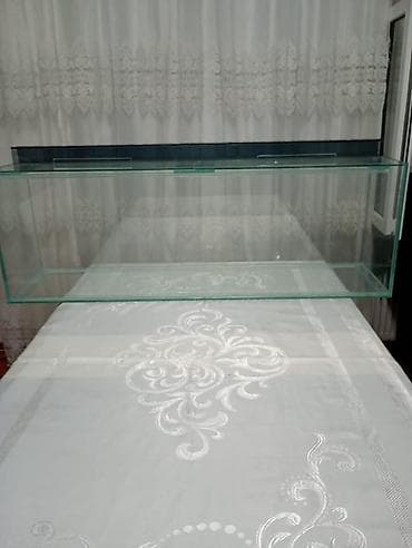 heyvanlar atlar: Şüşə akvarium dəsti - Şəffaf, düz kənarlı şüşədən hazırlanmış — 7