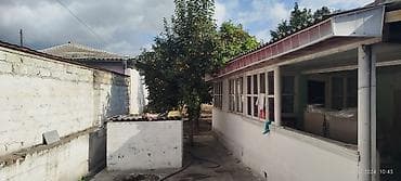 tal satışı: 3 otaqlı, 40 kv. m — 5