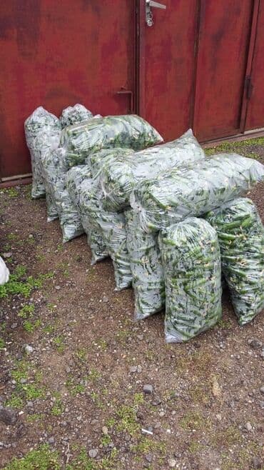 недвижимость в кусарах: Təcili ucuz qiymətə satılır. Salam aleykum, bildiyiniz kimi quru — 9