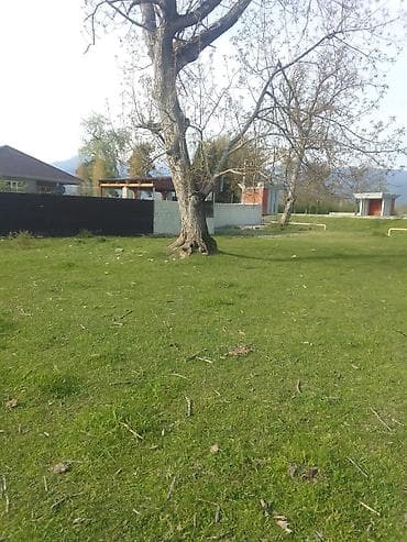 torpa: 10 sot, Tikinti, Kupça (Çıxarış) — 4