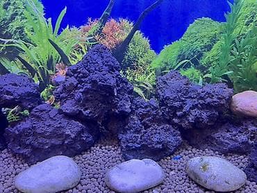 akvarum baligi: Akvaryum üçün dekorativ lavalı qayalar dəsti şekilde gördüyünüz ki — 6