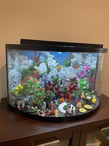 Аквариумы: Пустой, 200 л, Самовывоз — 3