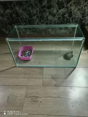 tap az akvarium: Şüşə akvarium tispaqa ilə birlikdə 20 manat. lazimdirsa zəng — 1