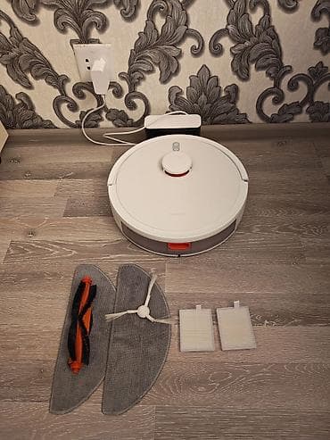 Tozsoran Xiaomi, Nəm təmizləmə, Quru təmizləmə