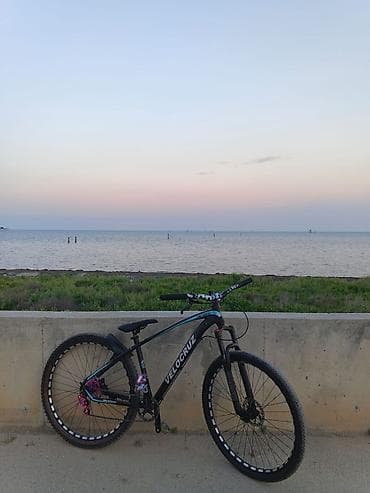 İşlənmiş Şəhər velosipedi Velocruz, 29", sürətlərin sayı: 1, Ödənişli çatdırılma — 2