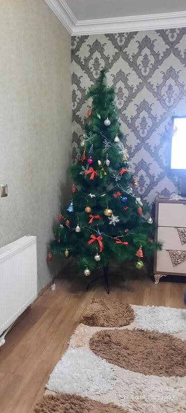 ag yolka sekilleri: Yolka teze kimidi,uzunlugu 2.10 oyuncaqlari ile satiram,qurmaqi cox — 2