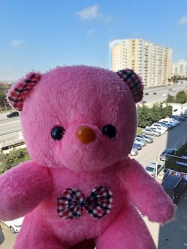 Hədiyyə dəsti: plyuş ayıcıq + süni güllərdən buket - Ayıcıq: yumşaq lalafo.az -da Hədiyyə dəsti: plyuş ayıcıq + süni güllərdən buket - Ayıcıq: yumşaq