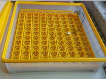 İnkubatorlar: Çin, Fabrik istehsalı, Tam avtomat, Zəmanət ilə — 5