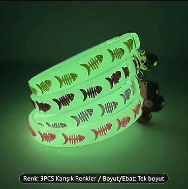 Flüoresan pişik boyunbağı dəsti - Gecə parlayan silikon material