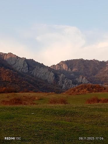 i̇ş elani: Bağban, 50 yaş, 3-5 illik təcrübə — 3