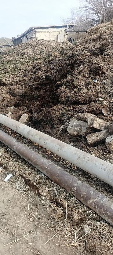 Peyin: Təbii üzvi gübrə – mal peyini - Bitkiçilik və bağçılıq üçün yüksək — 2