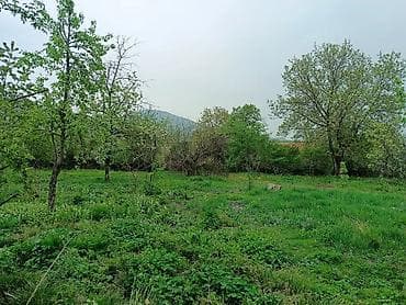 torpaq satşı: 8 sot, Biznes üçün, Mülkiyyətçi, Kupça (Çıxarış) — 5