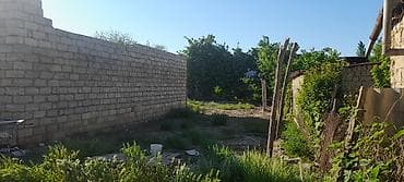 hovuzlu villa: 6 otaqlı, 120 kv. m, Kredit yoxdur, Orta təmir — 5