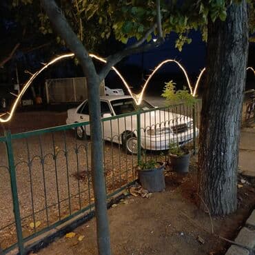 loreva reed diffuser: Qundəliy sürülən üzünə normal və ekonom maşın axtaran buyursun — 10