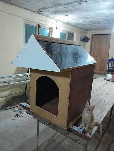 Salam domik lökbatan qəsəbəsindədir bakı ərazisi ödənişli çatdırılma