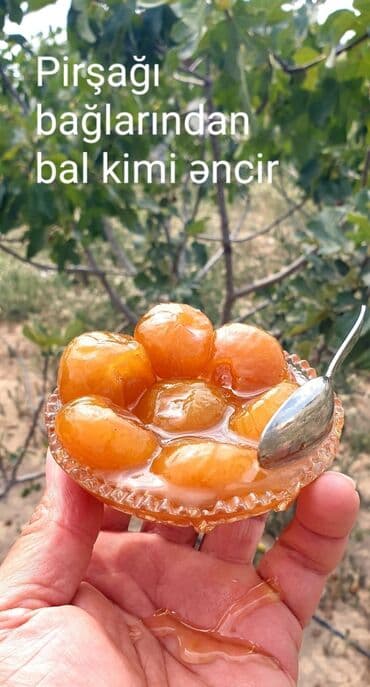 ağ gilas mürəbbəsi: PİRŞAĞI BAĞLARINDAN “BAL KİMİ” ƏNCİR MÜRƏBBƏSİ - Məhsul: Bütöv — 1