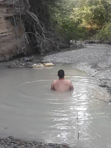 işi axtarıram: Böyük ağacların kəsilməsi, doğranılması və ərazidən götürülməsi — 2