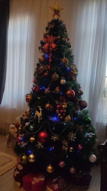 gəncə toyuq: Oyuncaqsiz satilir — 1