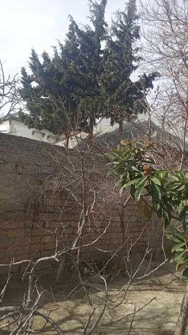 8 noyabr prospekti satilan evler: Ağ şəhər 12 otaq, 800 kv. m, Kredit yoxdur, Orta təmir — 14