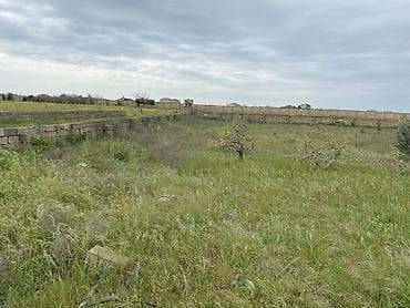 torpa: 8 sot, Kənd təsərrüfatı, Mülkiyyətçi, Bələdiyyə — 3