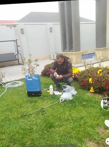 landşaft dizayn: Bağ və landşaft xidməti - Landşaft dizaynı: çiçəkli kompozisiyalar — 4