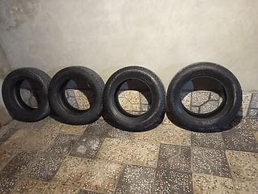 yuk tekerleri: Şin Nokian 225 / 65 / R 17 — 3