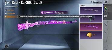 Digər: PUBG Mobile hesabı – zəngin kosmetik kolleksiya və yüksəldilmiş RP — 2