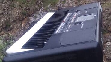 учебный синтезатор: Синтезатор, Korg — 4