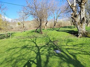 bakı kirayə evlər ucuz: 6 sot, Tikinti, Kupça (Çıxarış) — 3