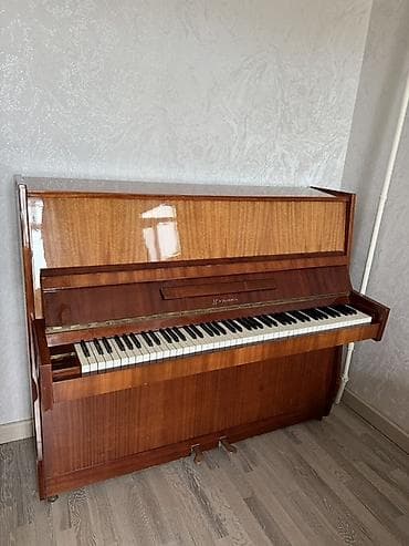 Upright piano – “Украина” markalı. Xüsusiyyətlər: - Akustik dik — 1