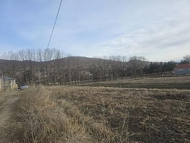 Bağ evləri: 12 sot, Tikinti, Mülkiyyətçi, Kupça (Çıxarış) — 2