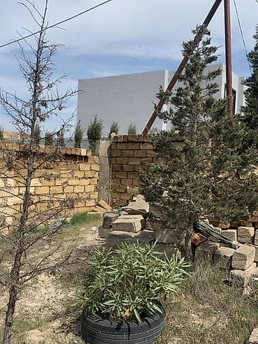 binədə torpaq: 6 sot, Tikinti, Barter mümkündür, Kupça (Çıxarış) — 3