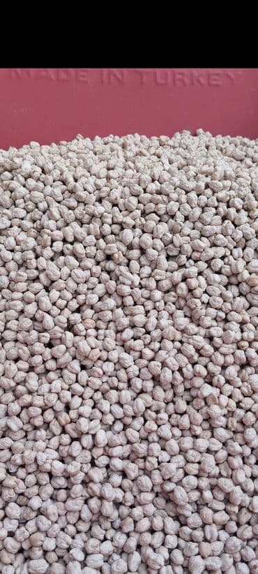 Məhsul: Noxud toxumu (toxumluq) Təsvir:Toxumluq Ağ iri Dənəli