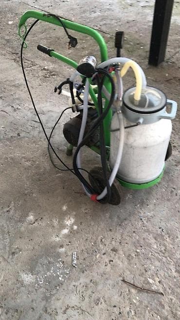 Hazır biznes: Tək bidon, Paslanmaz bidon — 5