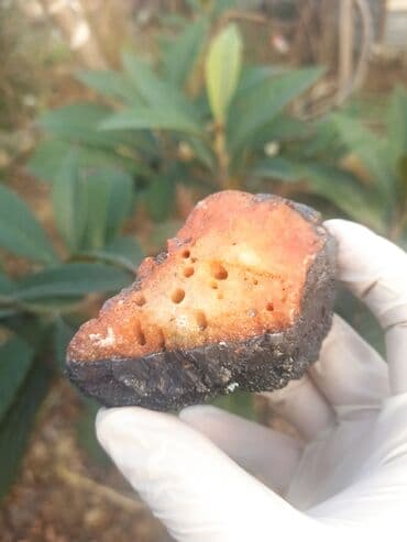 💎 Qiymətlə bağlı maraqlananlar zəhmət olmasa nömrədən📞 whatsapp dan