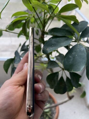 Фото и видеокамеры: IPhone Xs Max, 64 ГБ, Золотой, Face ID — 4