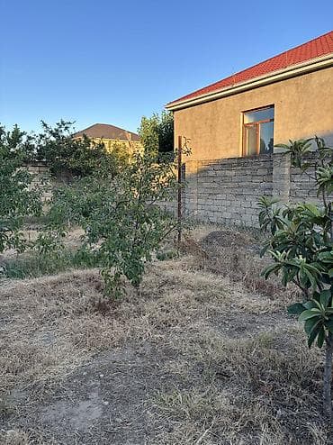 torpaq bakida: 5 sot, Tikinti, Mülkiyyətçi, Kupça (Çıxarış) — 2