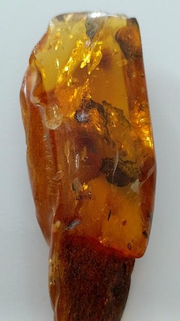 Янтарь, Бесплатная доставка — 2