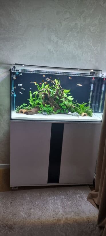 Böyük həcmli dekorativ akvarium və şkaf dəsti. - Şüşə akvarium