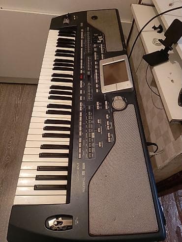 open sx1: Korg pa 800 1ci versiyadır ram 128 MP3 yoxdur problemi ekran — 2